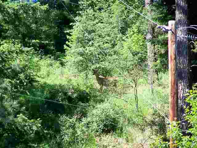 20419 S Jackson Rd - Photo 17