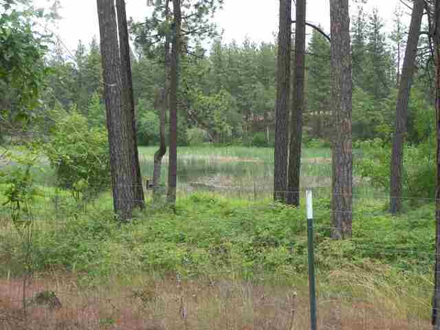 21315 W Blue Heron Rd - Photo 12