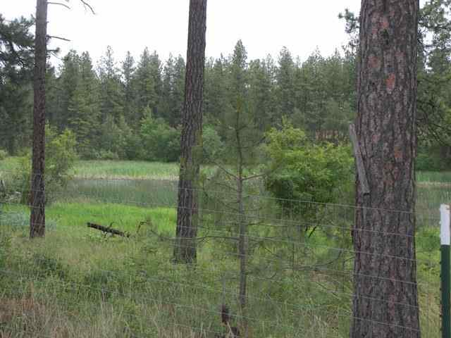 21315 W Blue Heron Rd - Photo 14