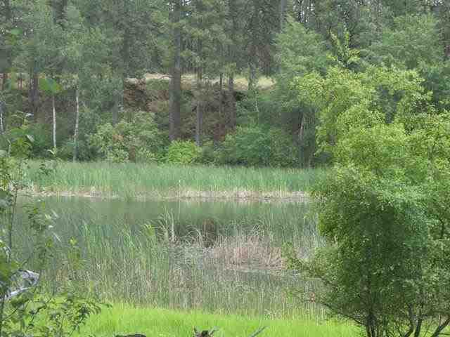 21315 W Blue Heron Rd - Photo 18