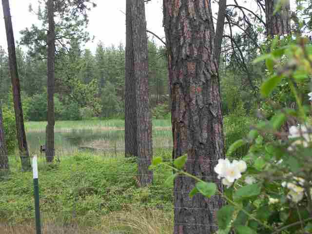 21315 W Blue Heron Rd - Photo 3
