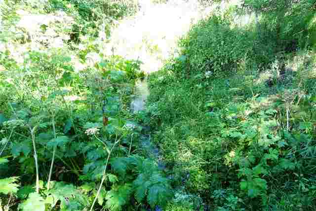 17202 N Dartford Dr - Photo 13