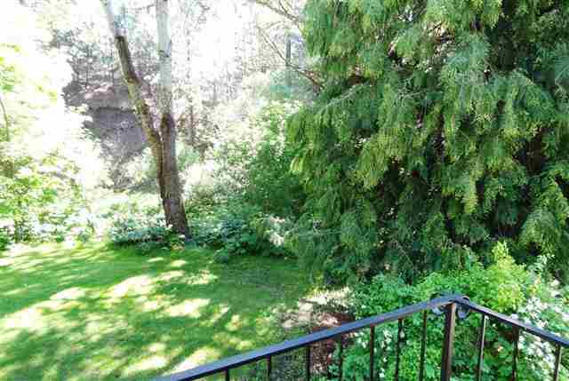 17202 N Dartford Dr - Photo 4