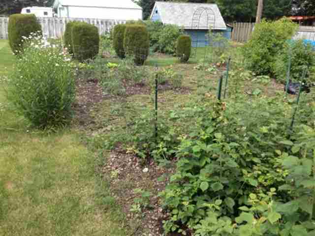 2302 N Marguerite - Photo 3