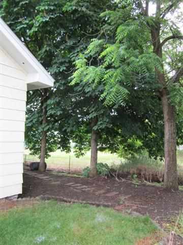 713 2nd St - Photo 7