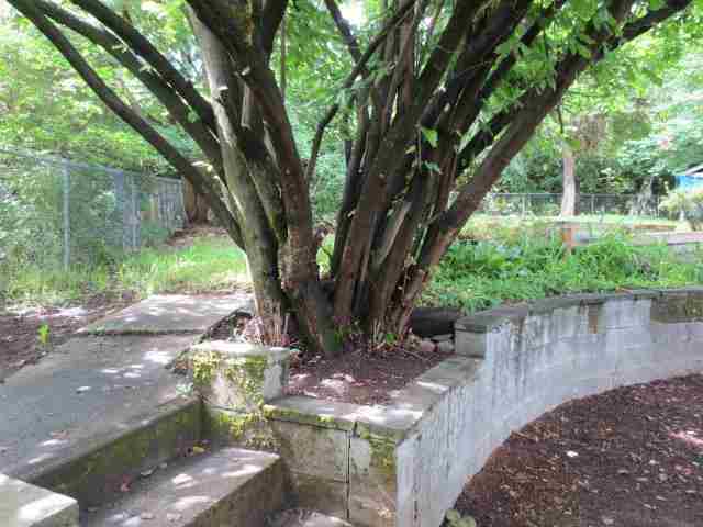 2508 E 17th Ave. - Photo 7
