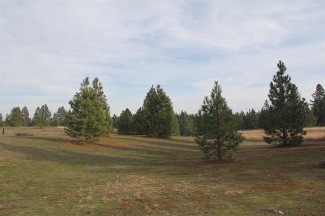 30312 N Austin Rd - Photo 4