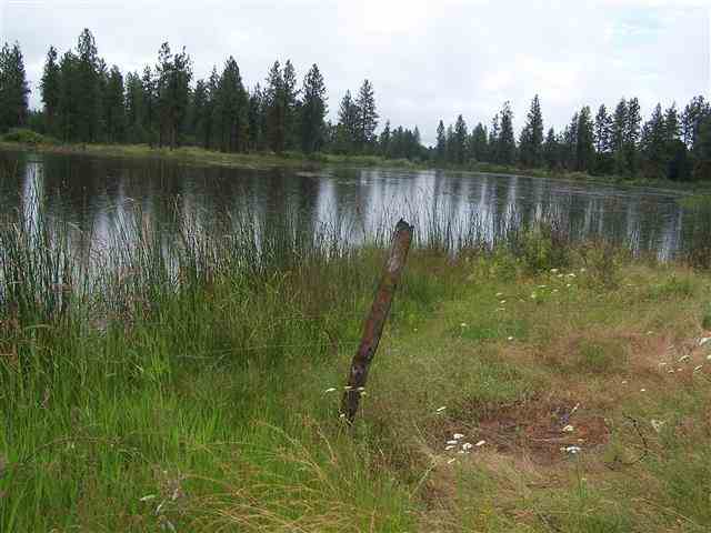 12804 S Salnave Rd - Photo 18