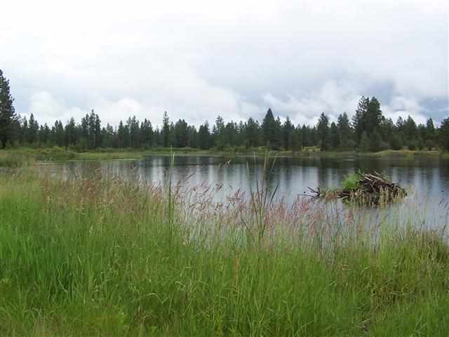 12804 S Salnave Rd - Photo 19