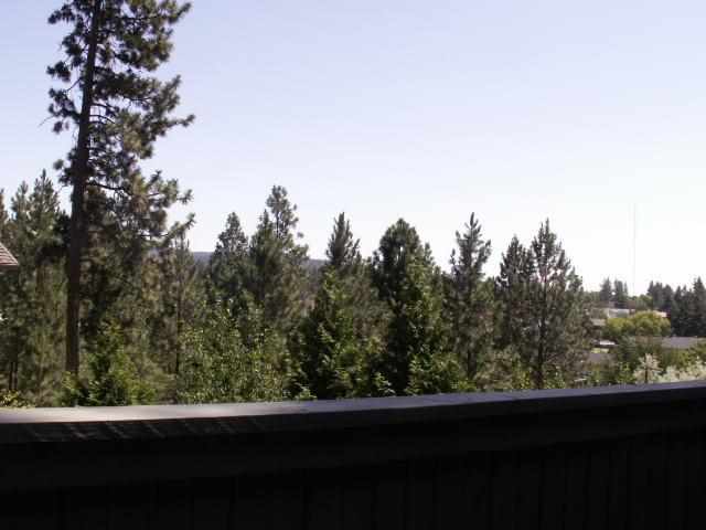 2611 S HARGREAVES - Photo 11