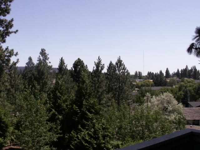 2611 S HARGREAVES - Photo 6