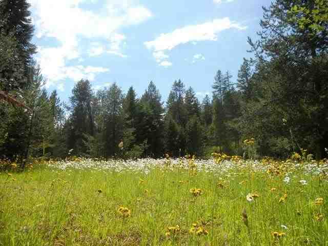 2111 H Dry Creek Rd - Photo 5