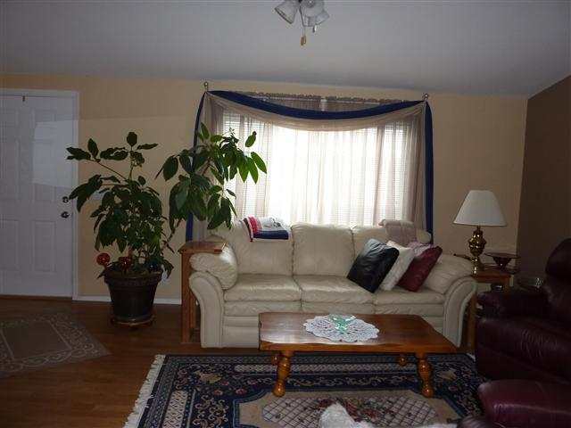 2311 W 16th Ave #104 - Photo 8