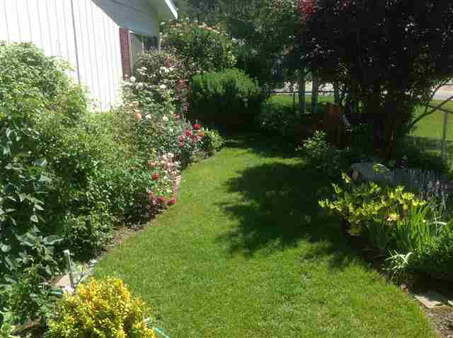 4504 E PEAK - Photo 17