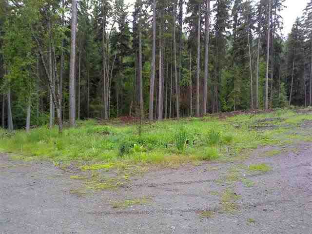 28 Bacon Creek Rd - Photo 19
