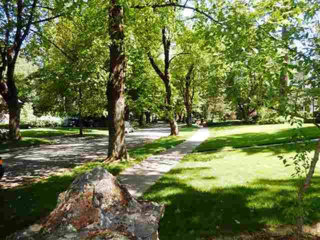 830 E Overbluff - Photo 20