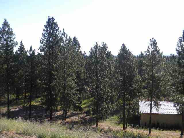 7719 S THOMAS MALLEN Rd - Photo 17