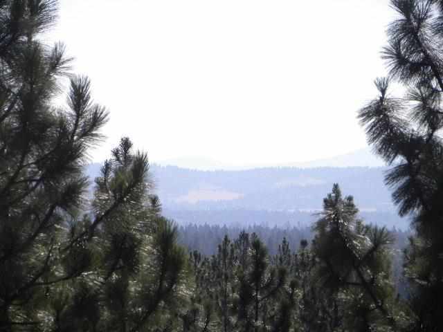 7719 S THOMAS MALLEN Rd - Photo 18