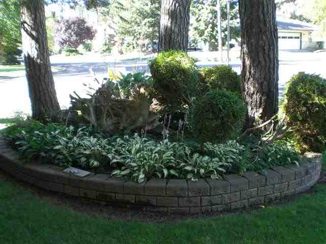 4327 S MADELIA St - Photo 20