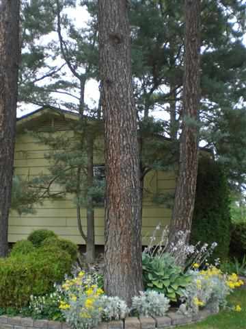 4327 S MADELIA St - Photo 3