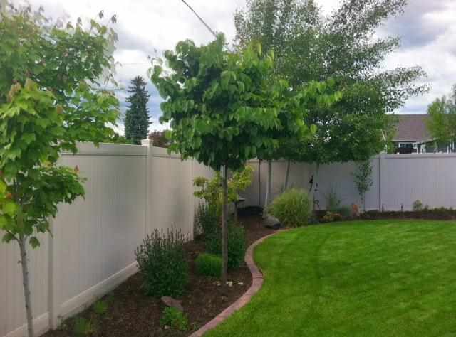 7803 N Ashley Cir - Photo 17