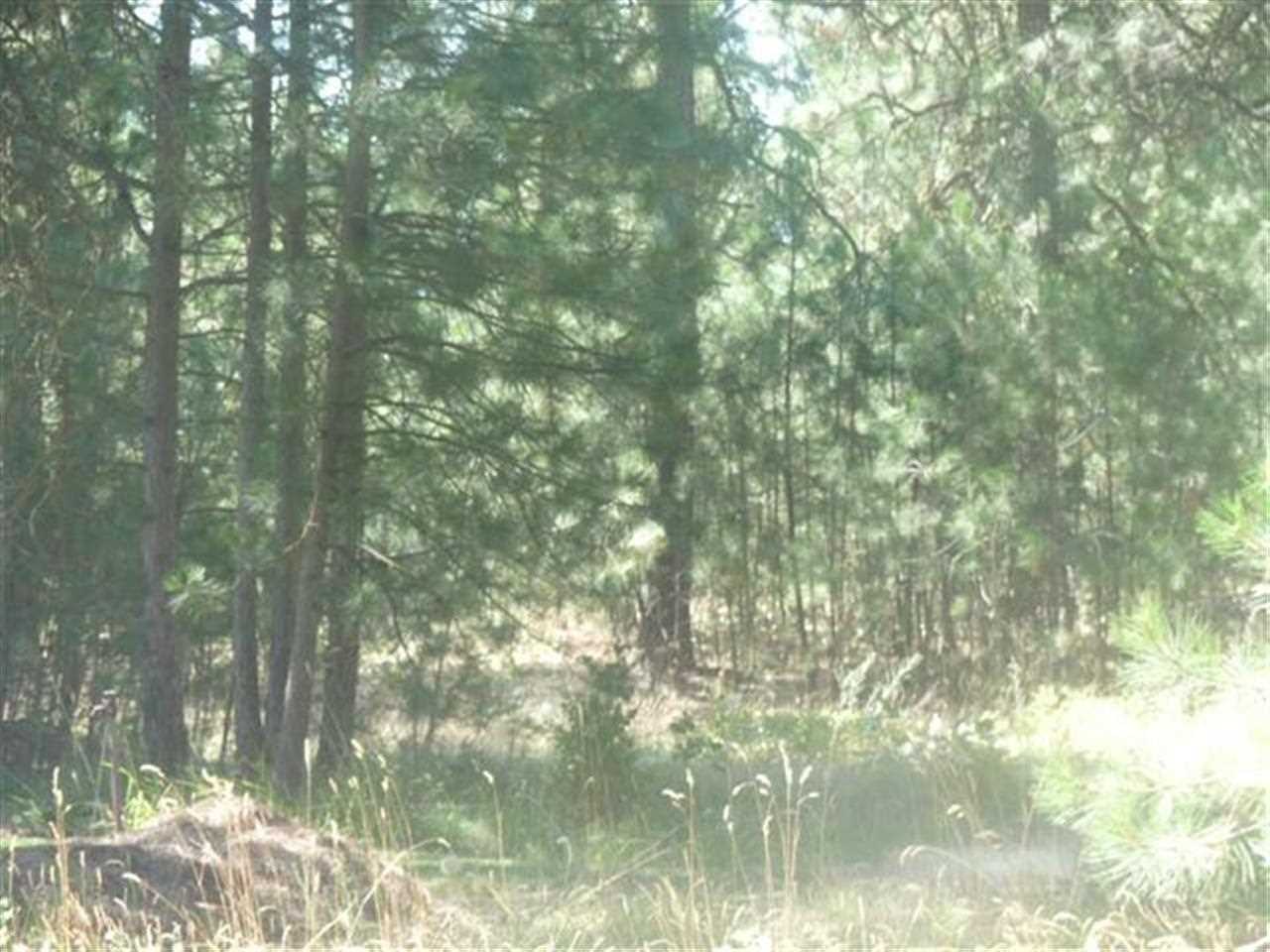 14525 W Lance Hill Rd - Photo 11