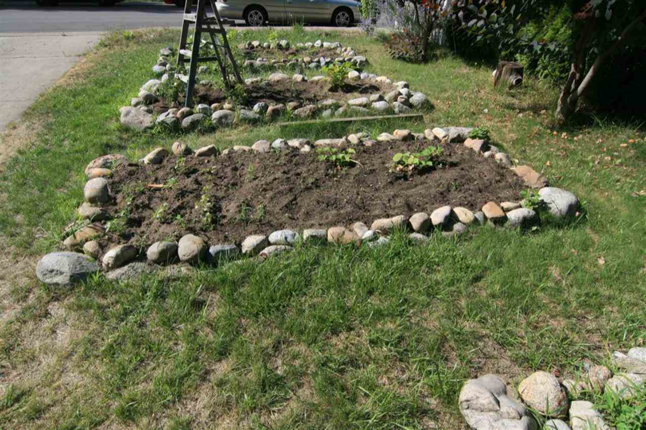 2620 W Woodside Ave - Photo 13