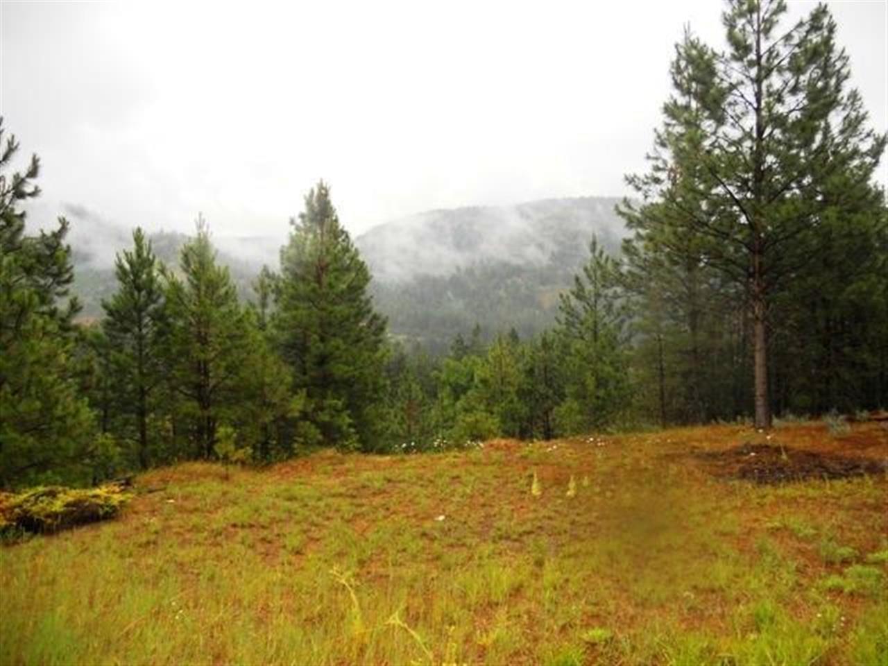 24896 Hwy 395 - Photo 4