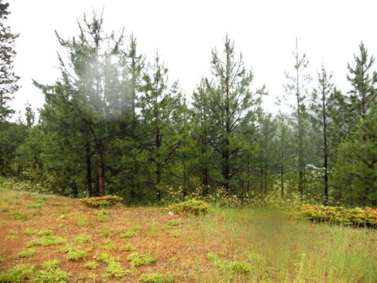 24896 Hwy 395 - Photo 5