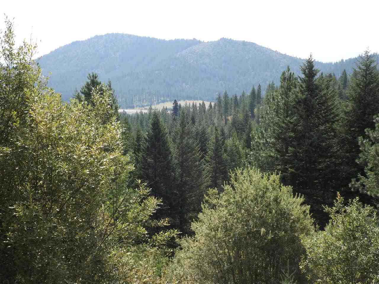 1512 Diamond Creek Road - Photo 9