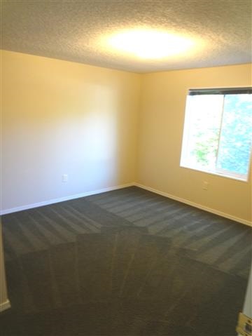 6360 Sundown Dr - Photo 12
