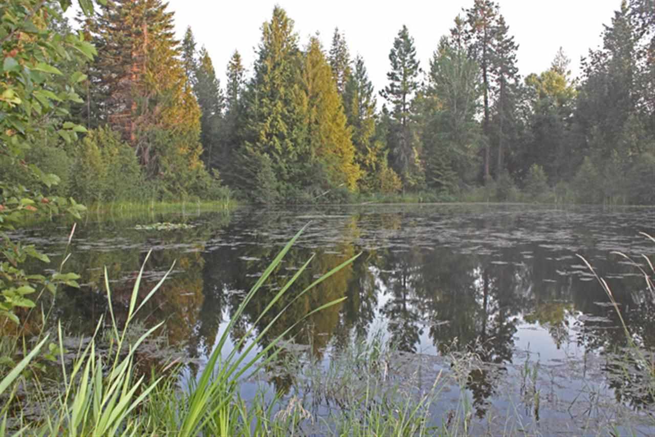4532 Baker Lake Rd - Photo 11