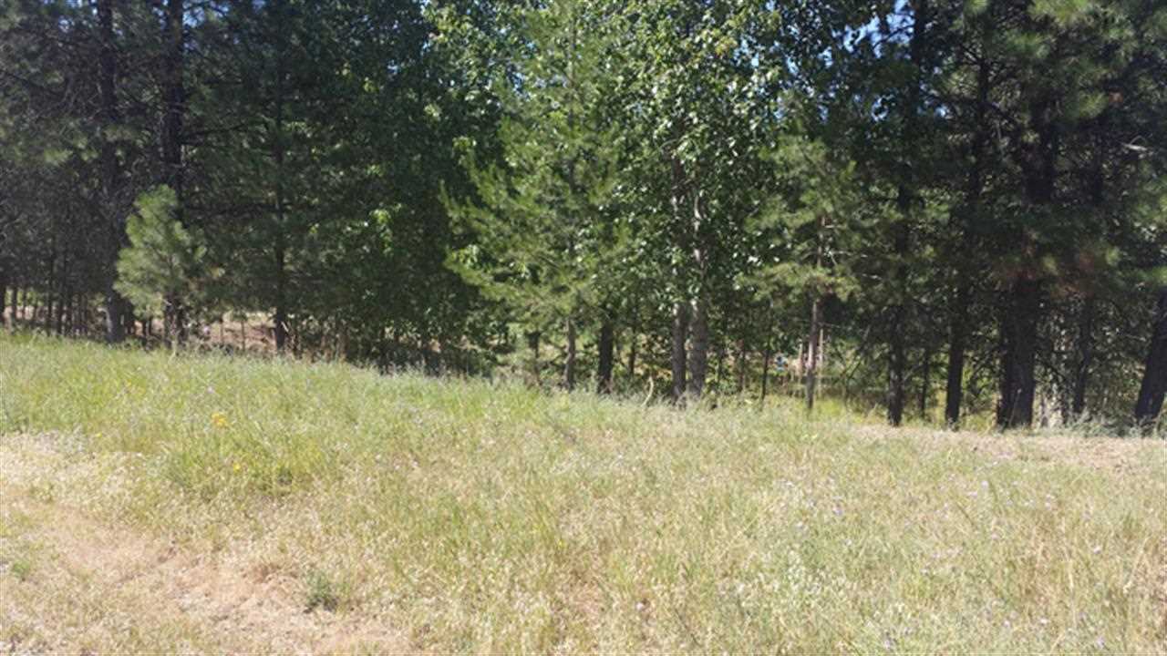 4532 Baker Lake Rd - Photo 13