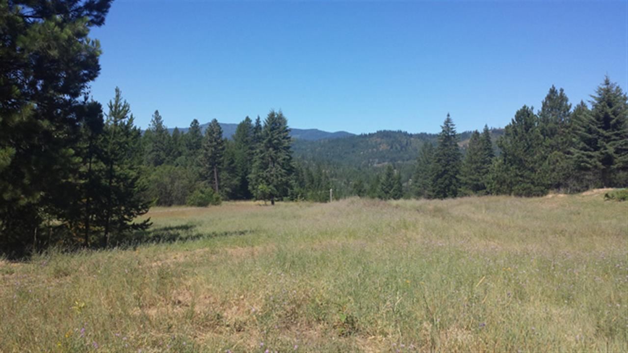 4532 Baker Lake Rd - Photo 6
