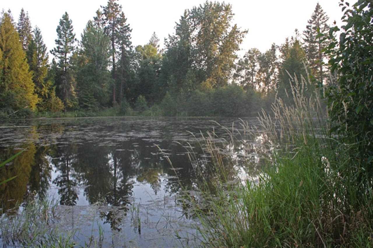 4532 Baker Lake Rd - Photo 9