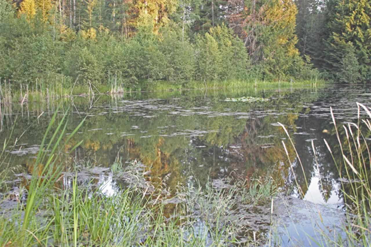 4532 Baker Lake Rd - Photo 10