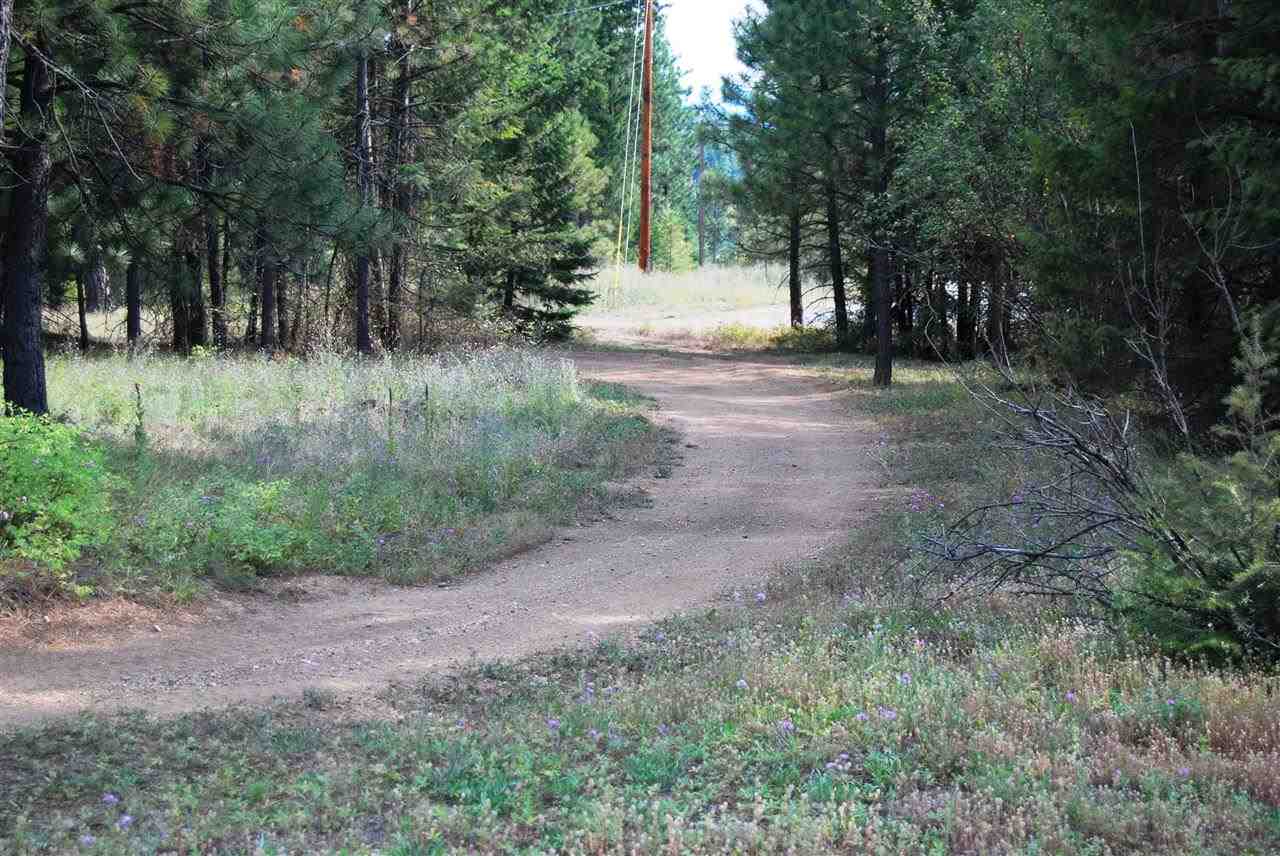 9214 N Campbell Rd - Photo 5