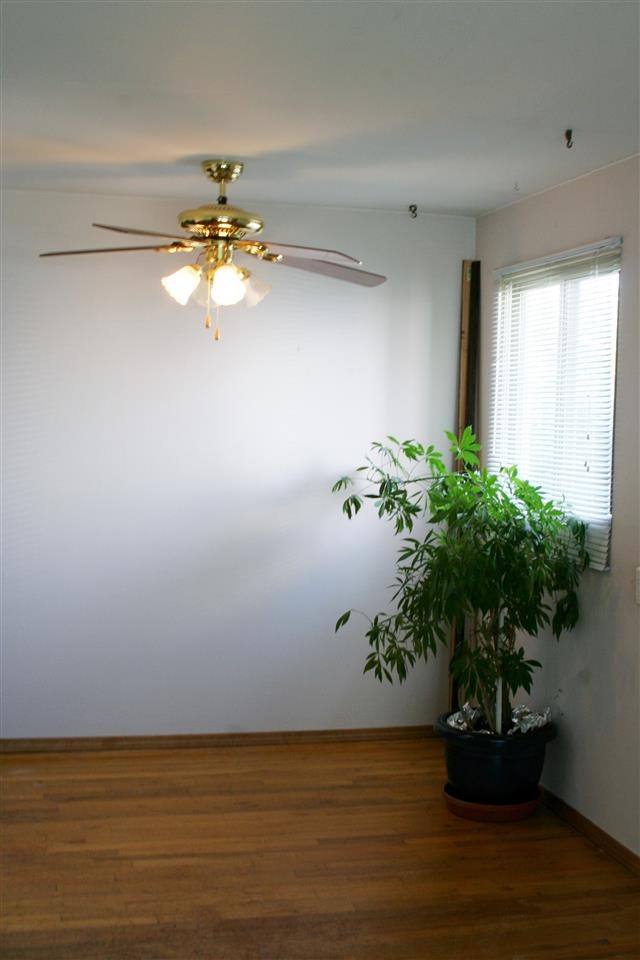 1326 W Nebraska Ave - Photo 5
