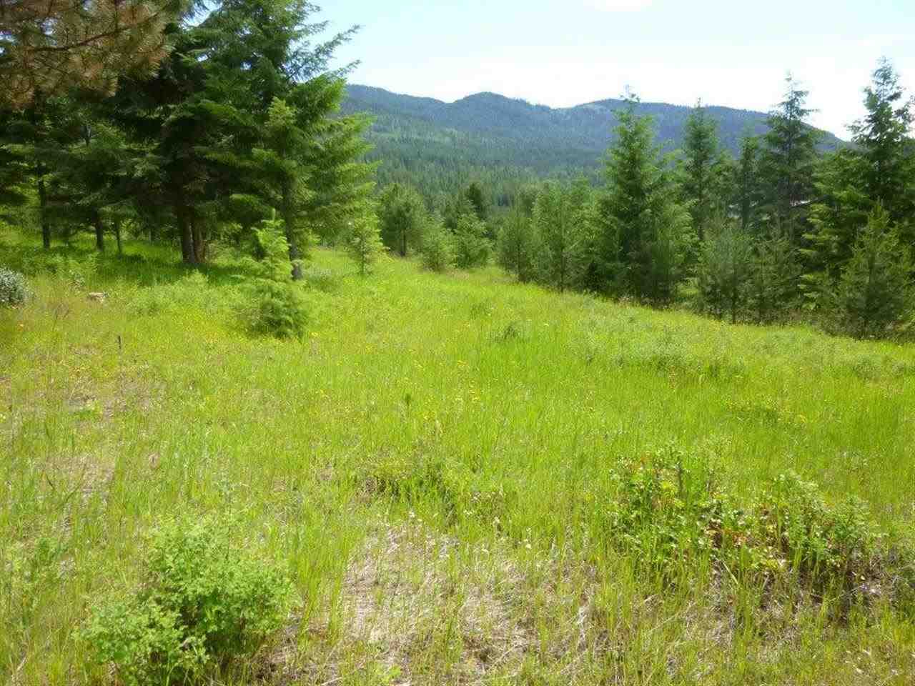1622 I Clugston Onion Creek Rd - Photo 14