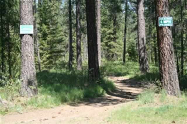 40314 Park Lane - Photo 10