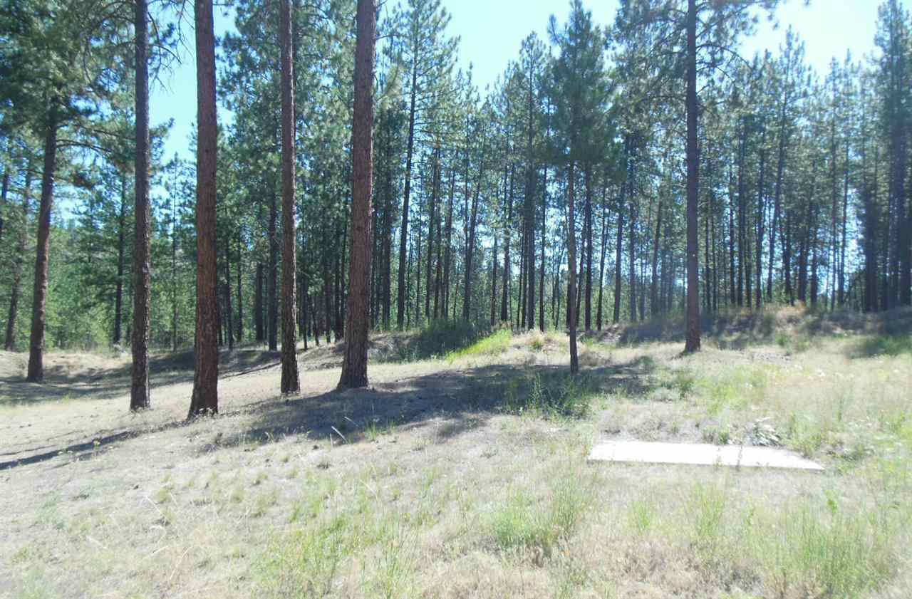 6558 Long Lake Dr - Photo 12