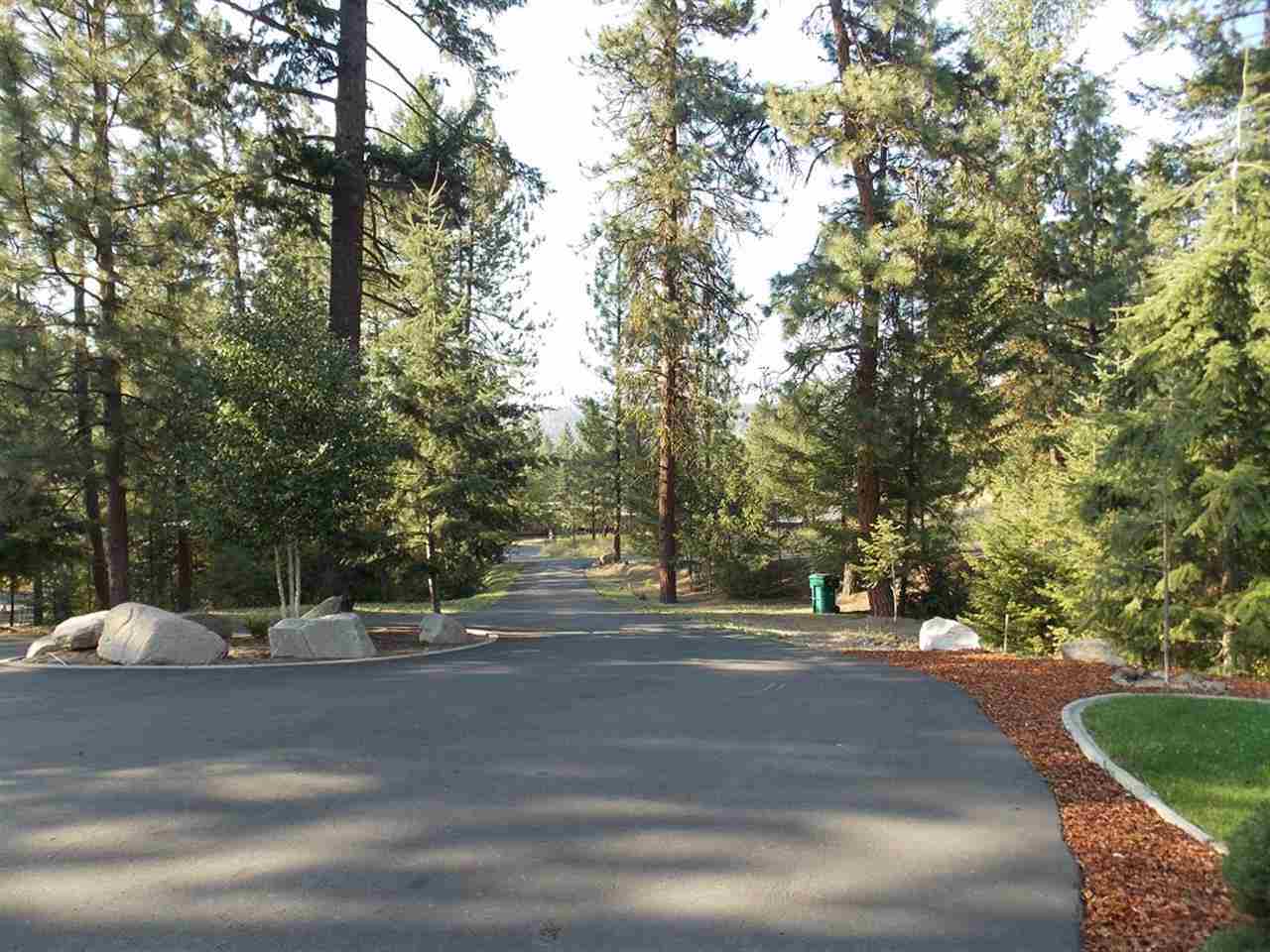 11313 N Kathy Drive - Photo 2
