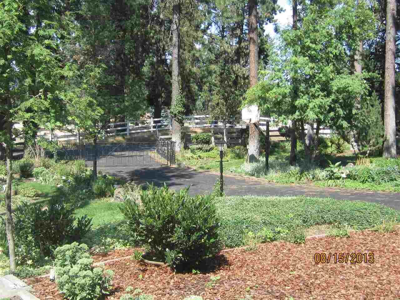 901 W White Rd - Photo 3