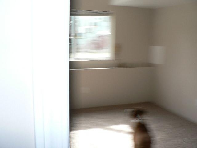 3926 E 35th - Photo 11