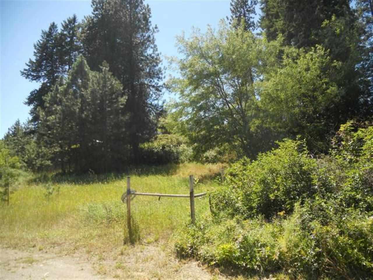 643 Gold Creek Loop - Photo 14