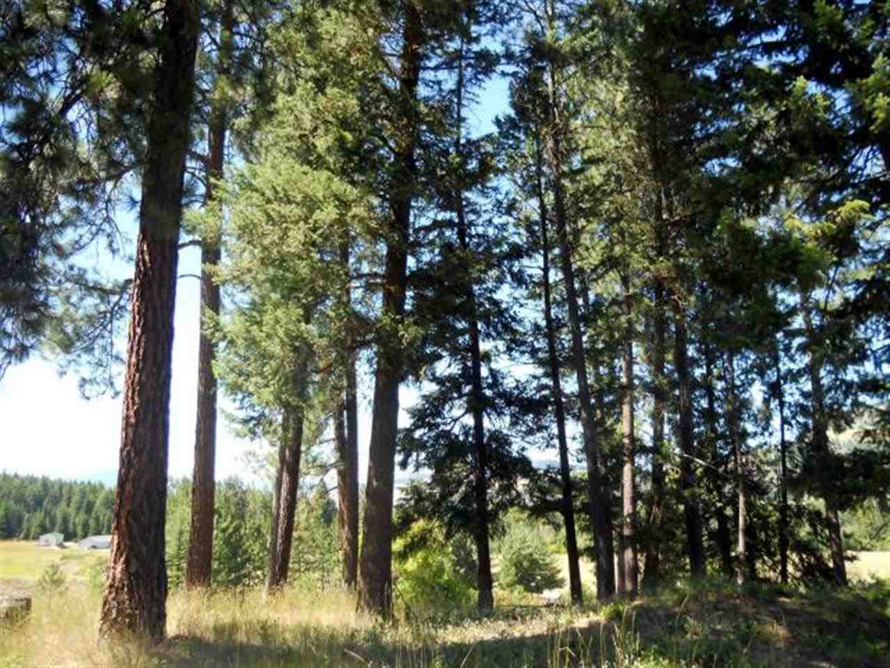 643 Gold Creek Loop - Photo 17