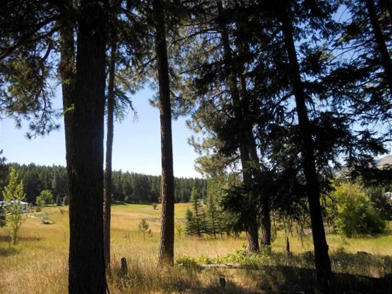 643 Gold Creek Loop - Photo 18