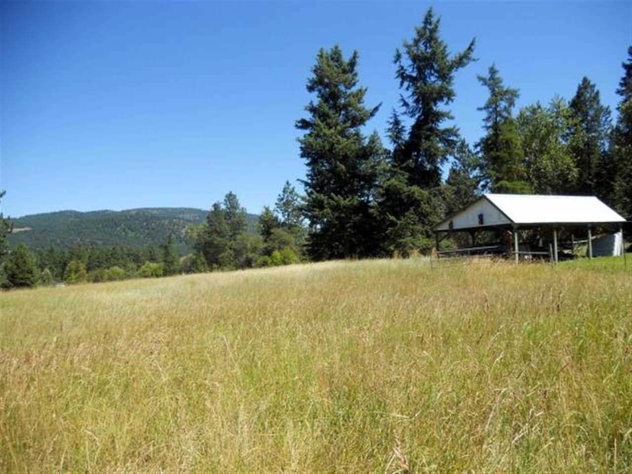643 Gold Creek Loop - Photo 5