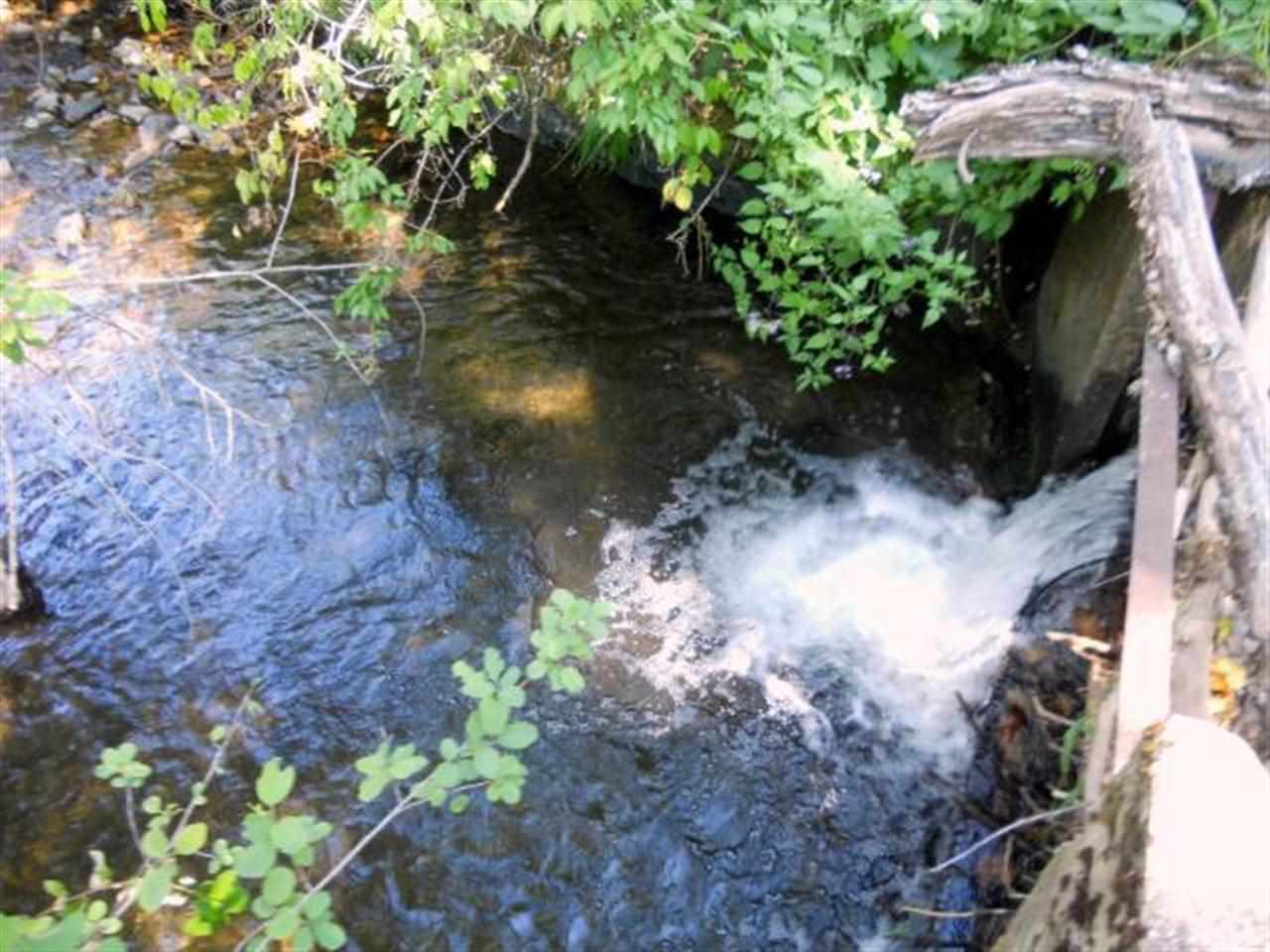 643 Gold Creek Loop - Photo 6