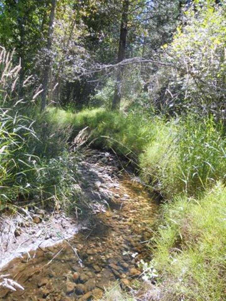 643 Gold Creek Loop - Photo 7